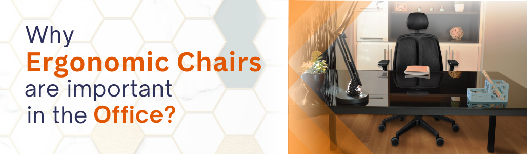 Corporate Chair Suppliers - Syona Roots Why are Ergonomic Chairs So Important In The Office? Syona Roots