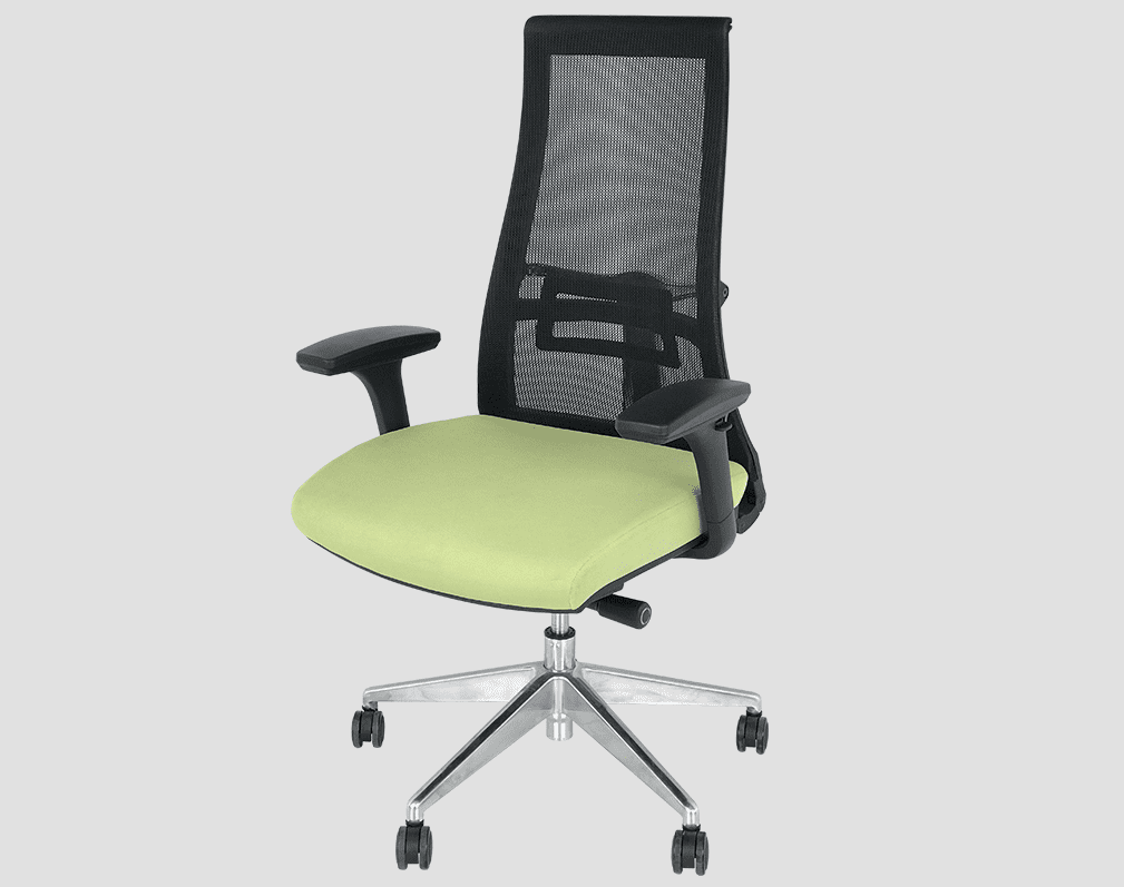 Vista Modern Chairs India