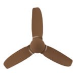 Premium-Brown-new-03-700x634