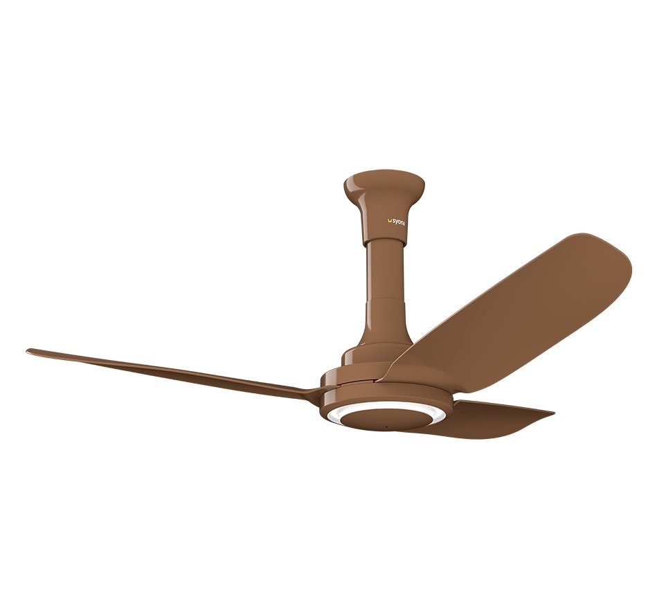 Premium-Plus-Brown-1