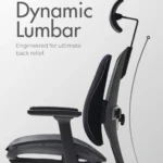 Duorest alpha dynamic lumbar Duorest alpha dynamic lumbar