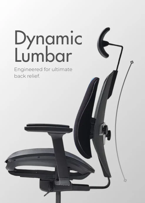 Duorest alpha dynamic lumbar Duorest alpha dynamic lumbar