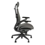 Mercury Ace Executive series side view