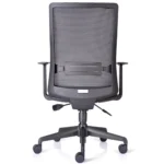 Neptune Ease Ergonomic mesh back office chair back view