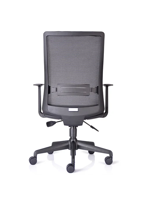 Neptune Ease Ergonomic mesh back office chair back view