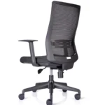 Neptune Ease Ergonomic mesh back office chair side view - 1