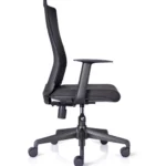 Neptune Ease Ergonomic mesh back office chair side view - 2