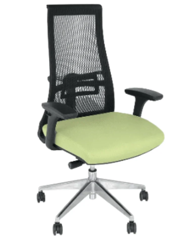 Mercury vista with ergonomic back