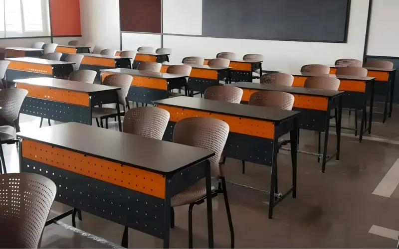 Syona Roots - VET chairs (1)