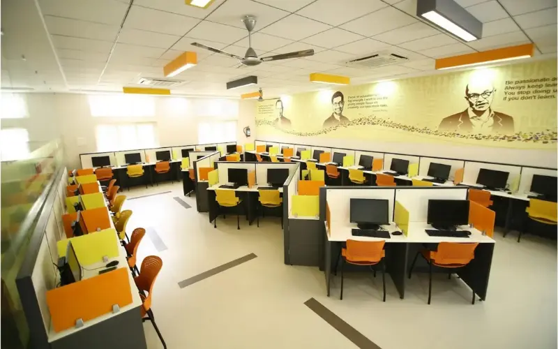 Syona Roots - VET chairs (2)