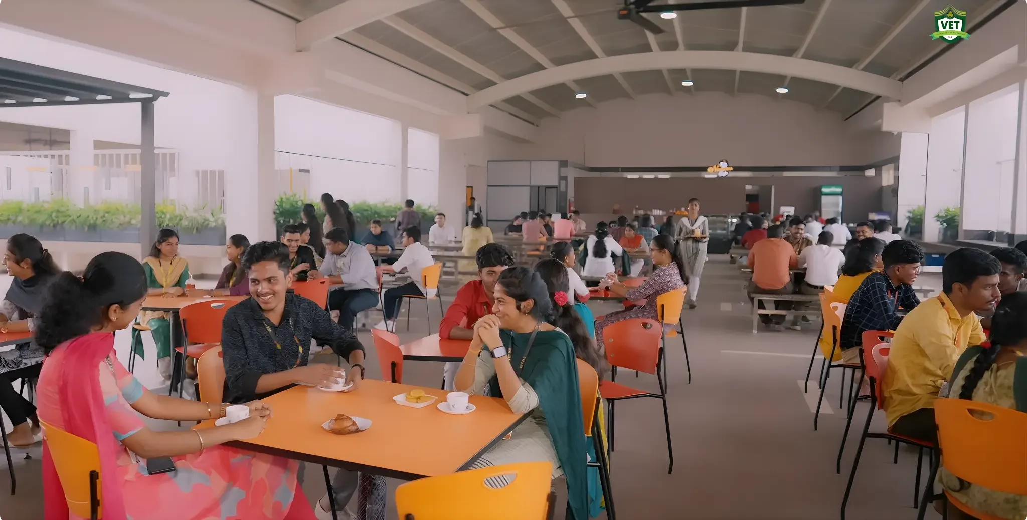 Syona Roots - VET chairs 2