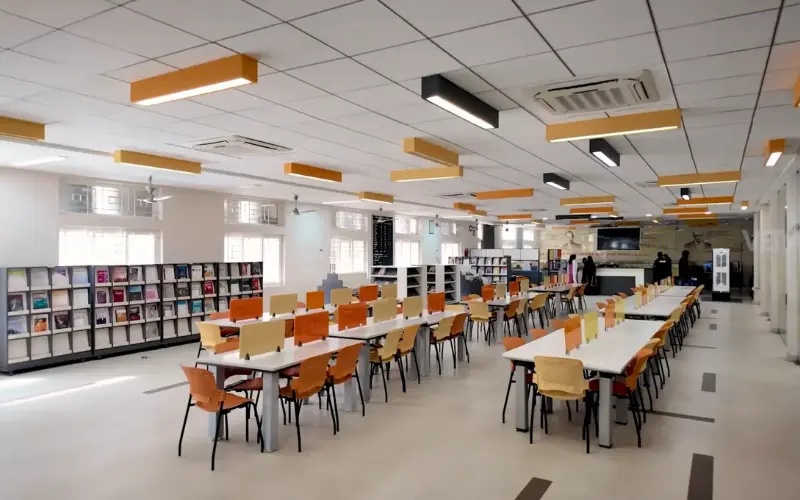 Syona Roots - VET chairs