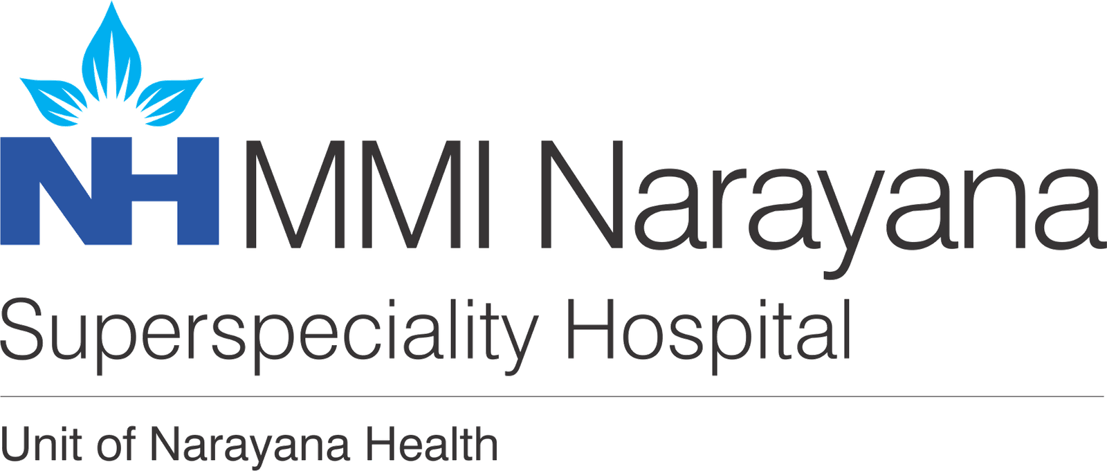 NH_Raipur Logo_0